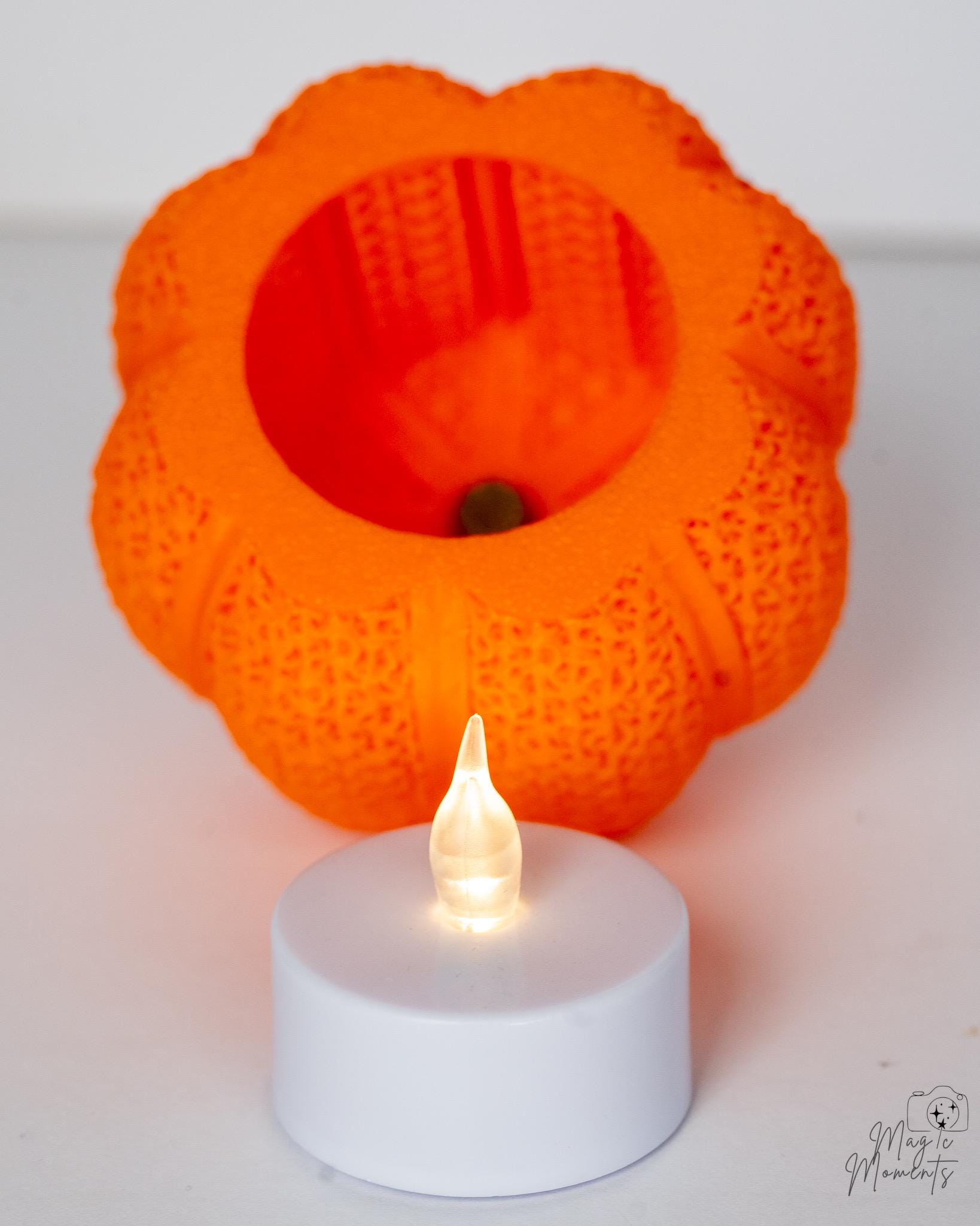 3D printed mesh pumpkin autumn decoration