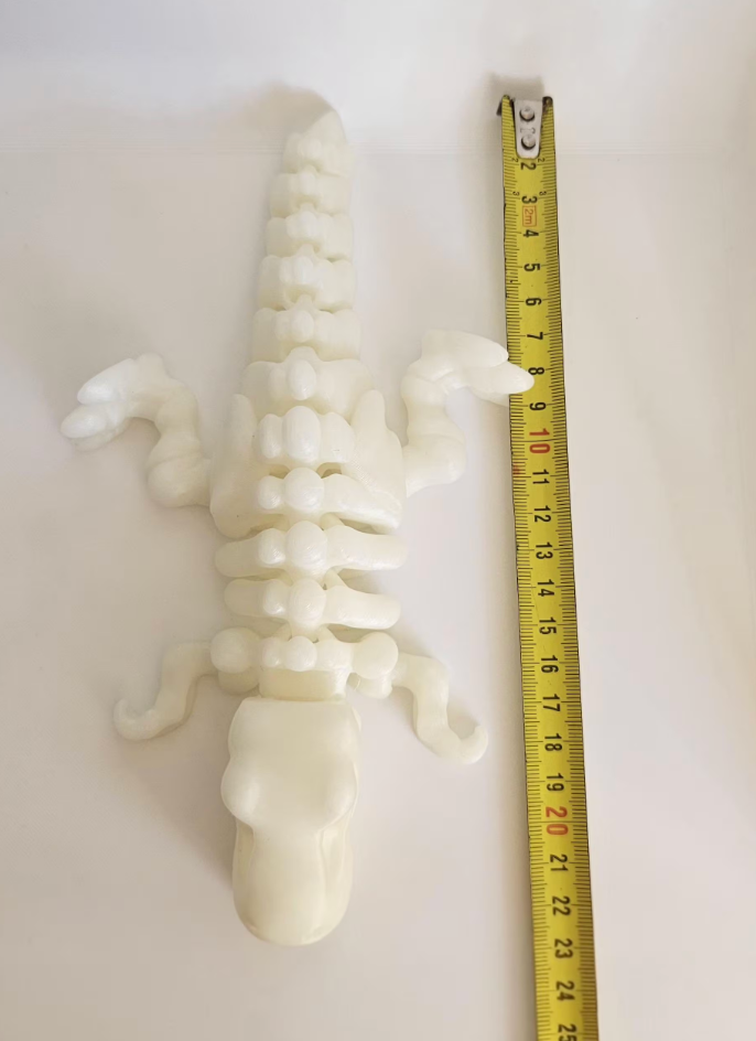 Glow in The Dark T-Rex Skeleton 3D Printed Dinosaur Decor 20cm