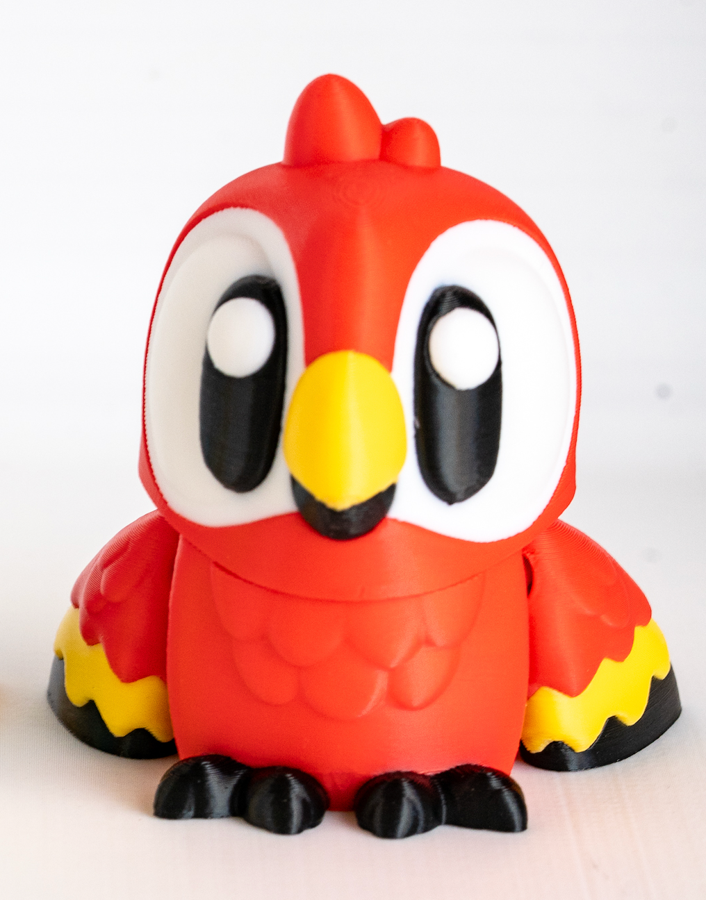 Red parrot viewed from front