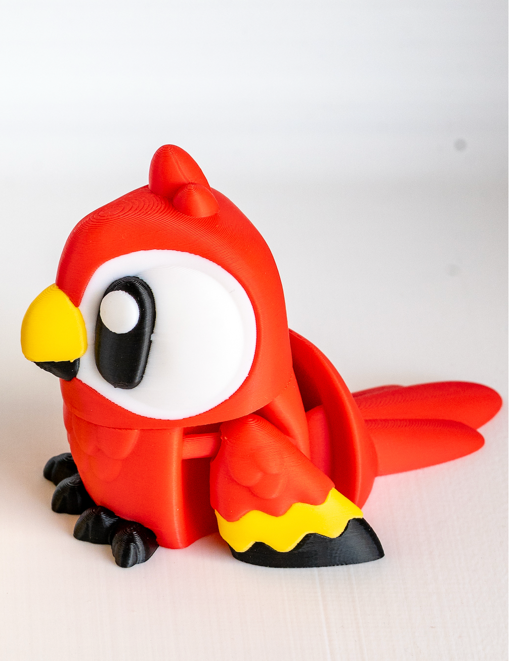 Red parrot viewed from side