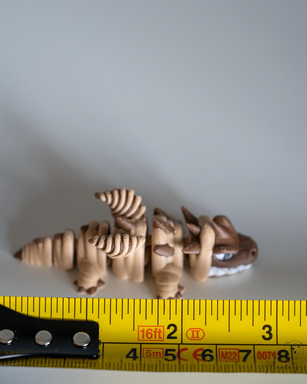 skeleton dinosaur figure next to measuring tape for scale