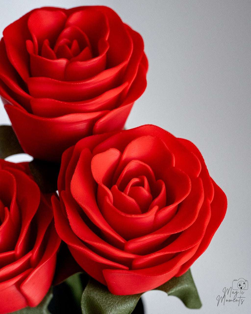 Three red roses on a white background